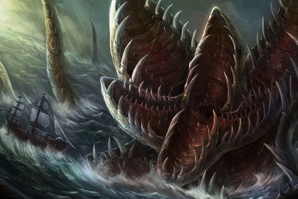 Kraken найдется все