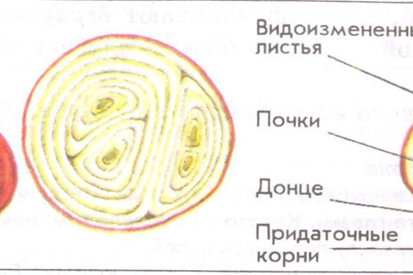 Кракен как зайти ссылка